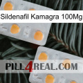 Sildenafil Kamagra 100Mg 25